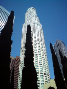 An image of strong vertical lines formed by trees and buildings