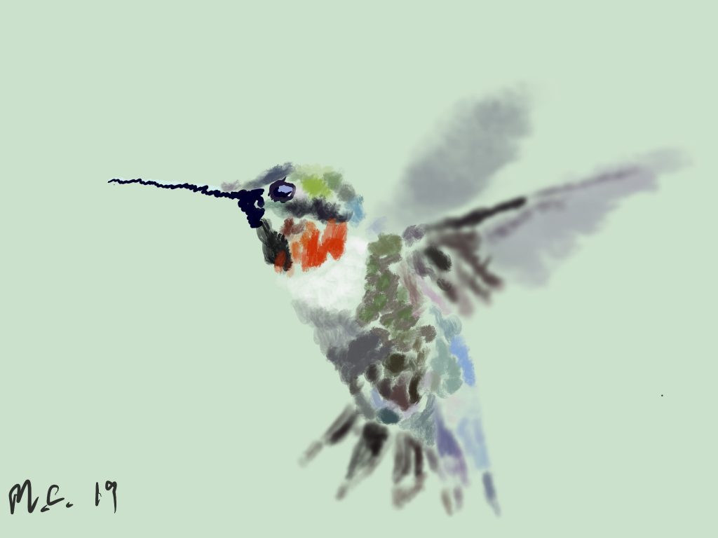 Hummingbird